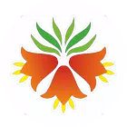 Баткен Kota, Kabar Terkini, dan Aplikasi Modern untuk Masyarakat Digital